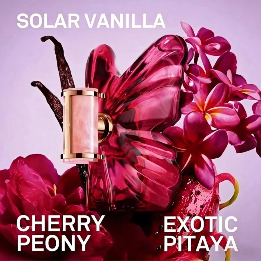 La Bomba to orientalny perfum  – Luxury Skincare Oil recenzja i cena